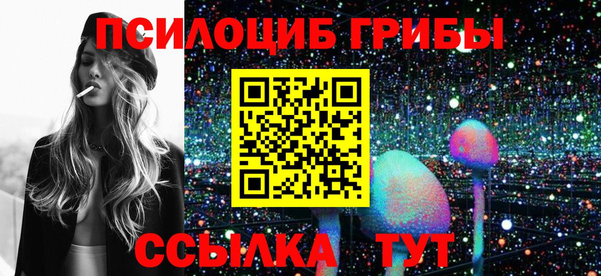 Псилоцибиновые грибы прущие грибы  Вход с VPN  Бор 