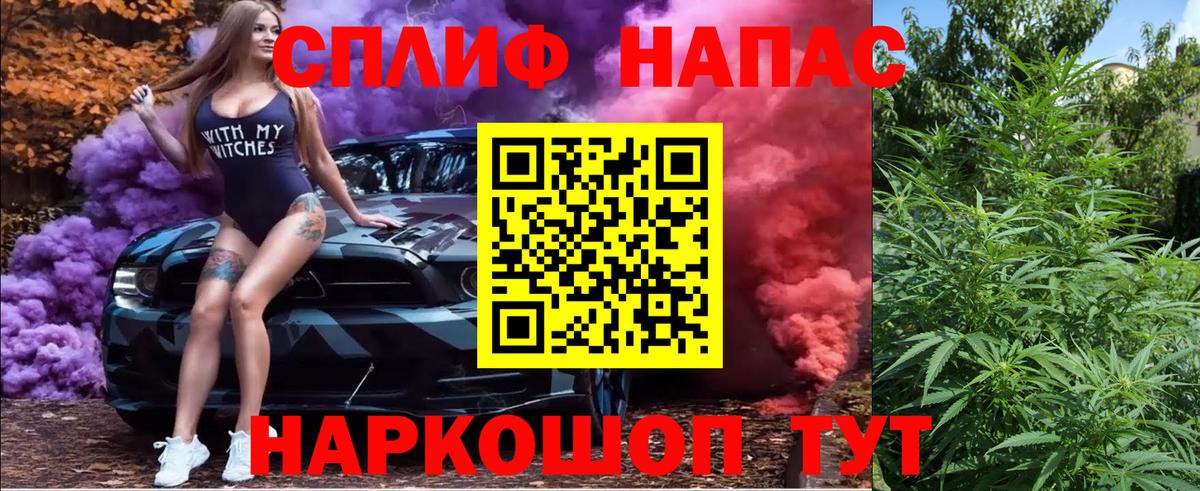 Бошки Шишки MAZAR  Каннабис гибрид  Вход с VPN  Бор 